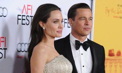 All we know about Angelina Jolie's unexpected court battle with Brad Pitt - hellomagazine.com - France - Los Angeles
