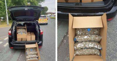 Police find 20 bags stuffed full of cannabis in car stopped on Princess Parkway - www.manchestereveningnews.co.uk - Manchester