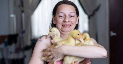 Mum delighted as eggs she bought in Morrisons hatch into cute pet ducklings - dailyrecord.co.uk - county Morrison