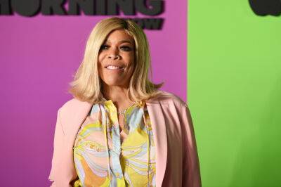 Williams - Fans React To ‘Wendy Williams Show’ Being Taken Down From YouTube: ‘I’m In Shambles’ - etcanada.com