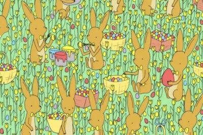 Can you find the chick in this bunny illusion in under 30 seconds? - nypost.com