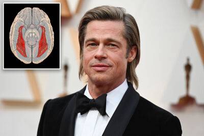 Brad Pitt - What is prosopagnosia? All about Brad Pitt’s face blindness condition - nypost.com - Britain