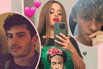 Kylie Jenner - Camila Cabello - Shawn Mendes - Travis Scott - El Lay - Camila Cabello Confirms Romance With CEO Austin Kevitch Eight Months After Breakup With Shawn Mendes - perezhilton.com