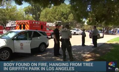 Dead Body Found Hanging From Tree -- ON FIRE -- In Los Angeles Park - perezhilton.com - Los Angeles - Los Angeles