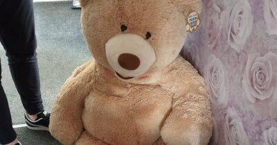 Baffled cops find car thief hiding in teddy bear after noticing it 'breathing' - dailyrecord.co.uk - Manchester