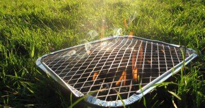 Why a ‘safety fear’ is causing supermarkets to ban disposable BBQs - ok.co.uk - Britain