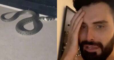 Hungover Rylan Clark begs for help after finding a snake in his home - www.msn.com