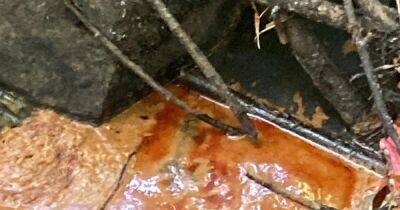 'Foul' smelling oil found dumped at popular riverfront woodland - manchestereveningnews.co.uk - Manchester - Ukraine