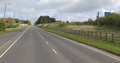 Driver, 73, dies after horror van crash on A77 near Newton Mearns - www.dailyrecord.co.uk - Scotland - Beyond