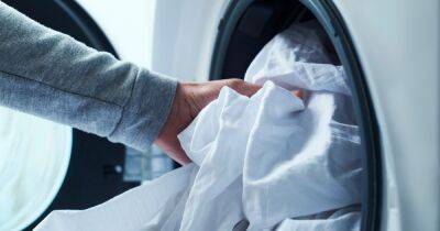 Turning off your washing machine during peak times could earn money off your energy bills this winter - www.dailyrecord.co.uk - Ukraine - Russia