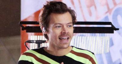 Harry Styles hits back at 'queerbaiting' allegations - www.msn.com