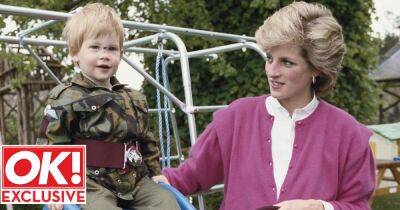 Diana would have made 'impetuous' Prince Harry reconsider US move, says her friend - www.ok.co.uk - USA