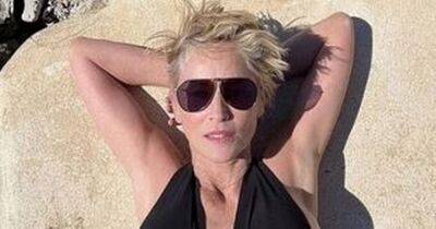 Sharon Stone, 64, amazes fans as she shows off impressive figure in plunging swimsuit - www.dailyrecord.co.uk - county Stone