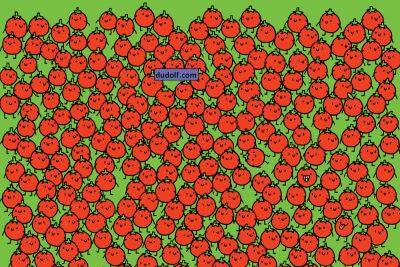 Only sharp eyes can spot apples hiding amid tomatoes in this optical illusion - nypost.com - Hungary