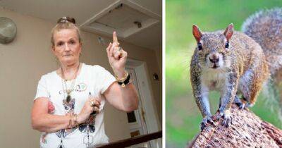 Scots woman terrorised by squirrels in lofts fears rowdy rodents will burn house down - www.dailyrecord.co.uk - Scotland
