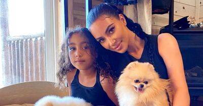 Kardashian-Jenner Kids Love Snuggling Their Pet Dogs and Cats: North, Stormi and More - www.usmagazine.com