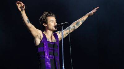 Harry Styles Has the Best Reaction to Fan Throwing Chicken Nuggets on Stage - www.etonline.com - New York