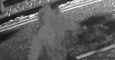 Police want to speak to this man after 'unprovoked' hammer attack outside bar - www.manchestereveningnews.co.uk - county Cross