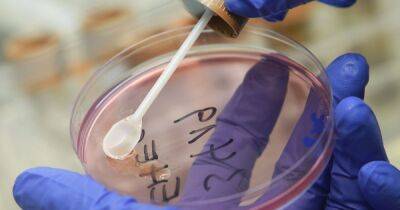 Poo transplant to be offered to hundreds with superbug - www.manchestereveningnews.co.uk