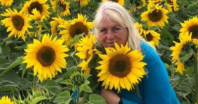 Gloagburn sunflower trail a reminder of home for grateful Ukrainian family who found sanctuary in Perthshire - dailyrecord.co.uk - Ukraine - Russia - city Sofia - county Dare