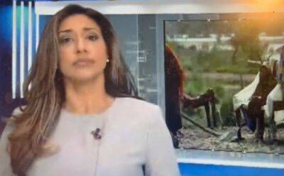 Toronto News Anchor Swallows A Fly During Live TV Segment - etcanada.com - Britain - Canada - Pakistan