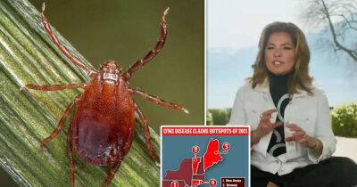 Yolanda Hadid - Tick-borne illnesses have increased 350% in rural America since 2007 - msn.com - state Maryland - North Carolina - state Maine - county Hopkins - state Vermont
