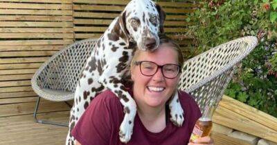 Heartbroken couple's warning after 10-month old puppy killed at doggy day care - www.manchestereveningnews.co.uk - county Lancaster