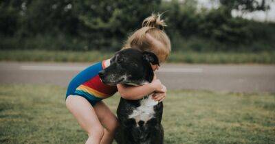 Parents warned over dangers of letting their child hug their pet dog - www.dailyrecord.co.uk - USA