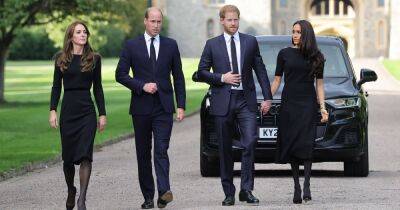 queen Elizabeth - Royal - Williams - Prince William 'acted as peacemaker and invited Harry and Meghan to Windsor walkabout to show unity' - manchestereveningnews.co.uk
