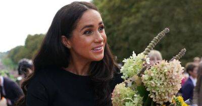 prince Harry - Meghan Markle - Kate Middleton - Elizabeth II - Windsor Castle - William - Williams - What Meghan Markle appeared to say to aide during Windsor walkabout - manchestereveningnews.co.uk