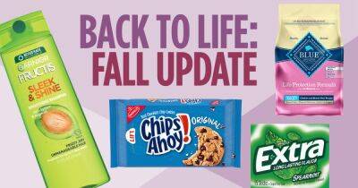 Get Back Into The Swing of Life With These Fall Picks From Albertsons Companies - www.usmagazine.com
