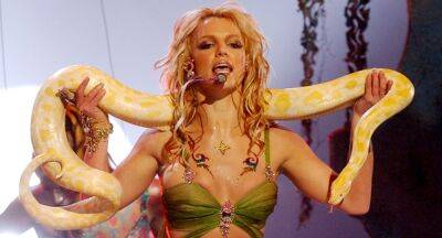 Britney Spears - Jamie Spears - Why Britney Spears has vowed to never perform again - who.com.au