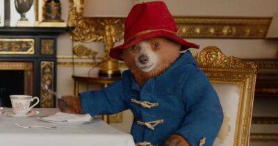 BBC mocked for announcing 'shock' news that Paddington Bear isn't actually real - www.dailyrecord.co.uk - Britain