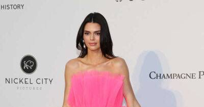 Kendall Jenner - Jay Shetty - Kendall Jenner: There are so many false narratives about my family - msn.com