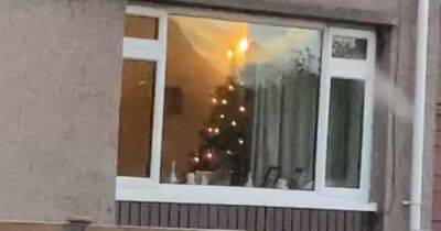Helen Skelton - Kaye Adams - Scots radio DJ 'gobsmacked' after driving past house and spotting Christmas tree - dailyrecord.co.uk - Scotland