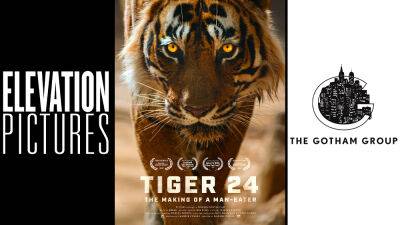 Elevation Pictures Picks Up Warren Pereira’s Animal Rights Doc ‘Tiger 24’ Exec Produced By The Gotham Group - deadline.com - Scotland - Los Angeles - USA - India