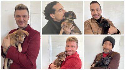 Brian Littrell - Kevin Richardson - Nick Carter - Howie Dorough - Tennessee shelter puppies share namesake with Backstreet Boys after special visit - foxnews.com - Spain - Nashville - Tennessee - city Madrid, Spain