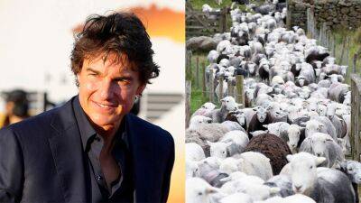Ethan Hunt - Tom Cruise's 'Mission: Impossible 8' set interrupted by a flock of sheep - foxnews.com - Lake - county Hunt