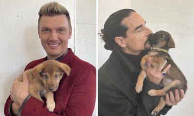 The Backstreet Boys are helping a litter of Nashville puppies get adopted - us.hola.com - Nashville