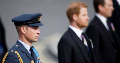 prince Harry - prince Andrew - Zara Tindall - princess Beatrice - William - Charles Iii III (Iii) - Williams - Peter Philips - What time is the vigil of the princes with Harry and William today - manchestereveningnews.co.uk - county Hall - city Westminster, county Hall - Afghanistan