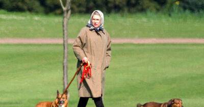 Sky News - prince Andrew - Camilla - George Vi - Williams - Queen's corgis being looked after 'very well', says Prince William - msn.com - county Hall - county Windsor - city Sandy - county Andrew - city Westminster, county Hall