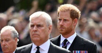 prince Harry - prince Andrew - Andrew Princeandrew - prince Louis - Prince Harry - Charles - Royal Family - Charles Iii III (Iii) - Prince Harry and Andrew could be stripped of key role as King 'plans major shake up' - ok.co.uk - Charlotte