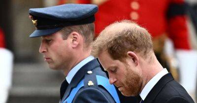 prince Harry - Meghan Markle - princess Diana - Elizabeth Queenelizabeth - Prince Harry - Charlotte Princesscharlotte - Meghan - Diana Princessdiana - prince William - Royal Family - William Princeharry - Fans 'sobbing' as William and Harry fight back tears behind Queen's coffin - ok.co.uk - Charlotte