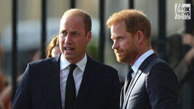 Meghan Markle - princess Diana - Elizabeth II - Prince Harry - Williams - William Princeharry - the late prince Philip - Prince William, Prince Harry should put 'wives aside' and patch up their relationship: American Viscountess - foxnews.com - Britain - France - USA - California - county Hall - city Paris, France - city Westminster, county Hall - county Charles