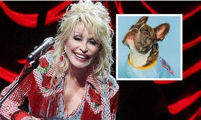 Dolly Parton - Dolly Parton launches pet collection for a good cause: ‘Doggy Parton’ - us.hola.com