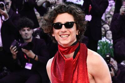 Dylan Sprouse - Luca Guadagnino - Taylor Russell - Timothée Chalamet Stuns In Venice With Amazing Red Backless Look - etcanada.com - city Venice