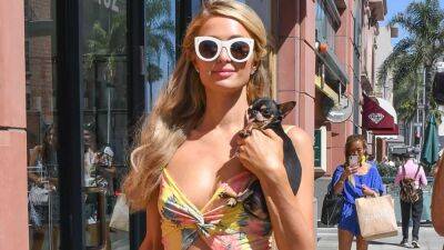 Paris Hilton - Paris Hilton's Dog Diamond Baby Goes Missing, Big Reward Offered for Return - etonline.com