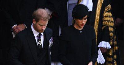 prince Harry - Meghan Markle - Daily Star - Oprah Winfrey - Prince Harry - prince William - Royal Family - the late queen Elizabeth Ii II (Ii) - Public 'opening hearts to Meghan' after 'united front' with Harry, says expert - ok.co.uk - Britain - USA - Canada