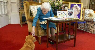 Susanna Reid - Elizabeth II - Hugo Vickers - Susanna Reid shares Queen's telling decision before death after suffering loss of one of her corgis - manchestereveningnews.co.uk - Britain - county Windsor - city Sandy - city Windsor