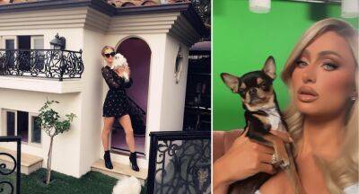 Paris Hilton’s lost dog sparks extreme measures - www.who.com.au